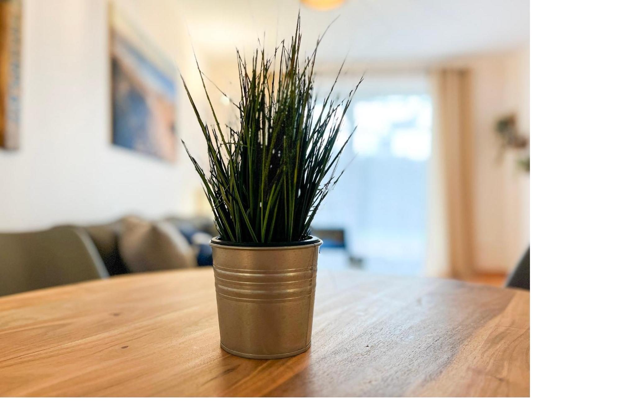 Hanse-Hof Wohnung 05 Boltenhagen  Εξωτερικό φωτογραφία